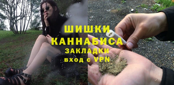 бошки Каменногорск