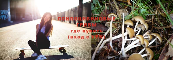 бошки Каменногорск