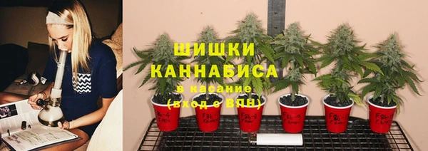 гашиш Каменка