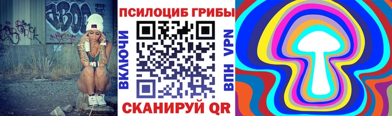 Псилоцибиновые грибы Cubensis  Купить где  Балахна 
